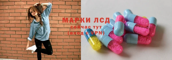 спайс Дмитриев