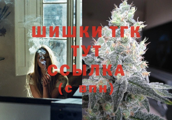 спайс Дмитриев