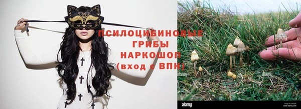 спайс Дмитриев