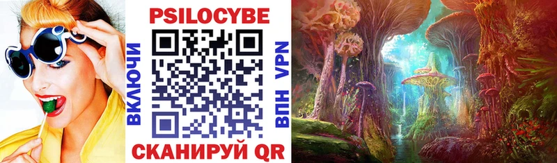Купить где  Могоча  Псилоцибиновые грибы Magic Shrooms 